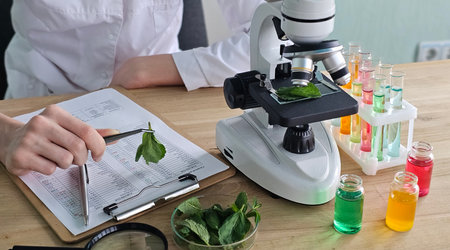 Scientist conducting plant analysis with microscope and colorful chemical solutions in laboratory settingの写真素材