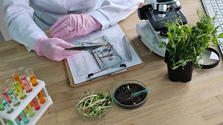 Scientist is studying plants in a laboratory setting during the dayの写真素材