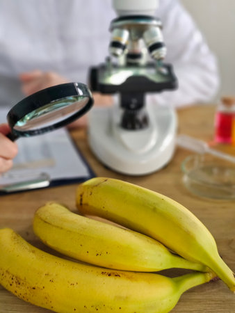 Exploring bananas under a microscope in a laboratory settingの写真素材