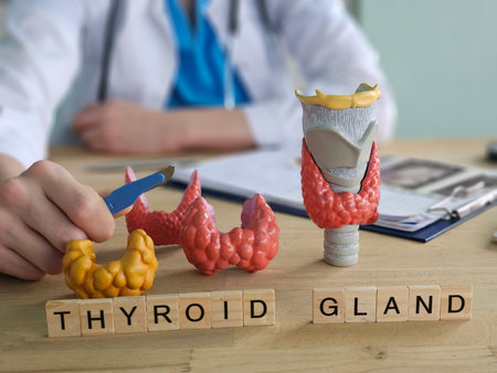 Display of thyroid gland models and materials on a table in a medical consultation setting while a doctor prepares for discussionの写真素材