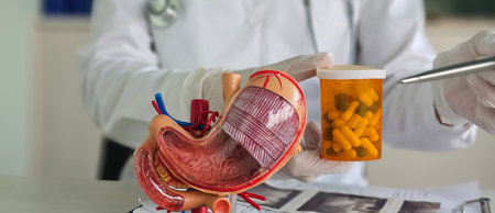 Doctor anatomy stomach holds pills. Pills for stomachの写真素材