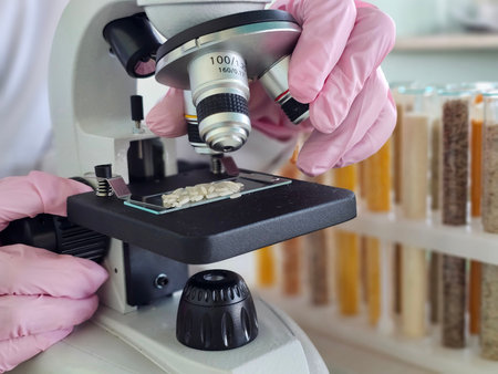 A scientist examines samples of rice and cereals under a microscope in a laboratory setting.