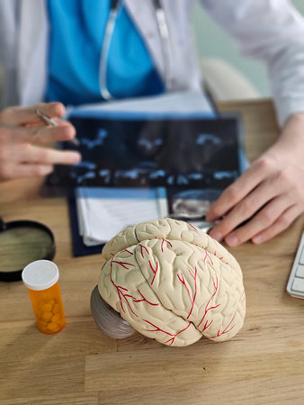 Doctor examines brain model and medical documents while preparing for patient consultation in a clinicの写真素材