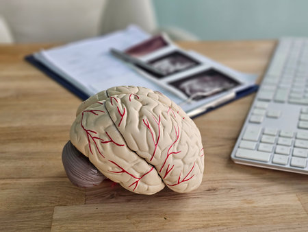 Model of a human brain placed on a wooden desk next to medical documents and a keyboard in a bright...