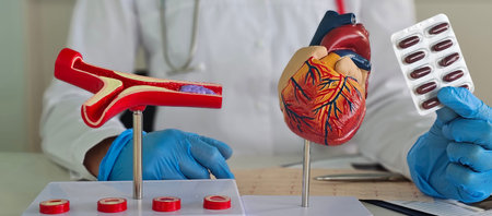Cardiologist demonstrates models of heart and blood vessel anatomy and pills. Drugs for ischemic...