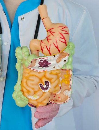 Medical trainer holds a detailed model of human digestive system during a learning session in a classroom settingの写真素材