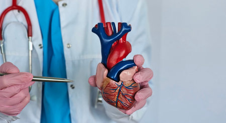 Medical professional displays human heart model during educational session for students in a...