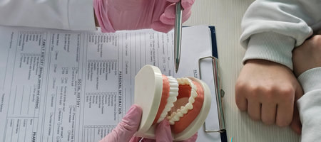 Educational dental activity showing models of teeth to a child