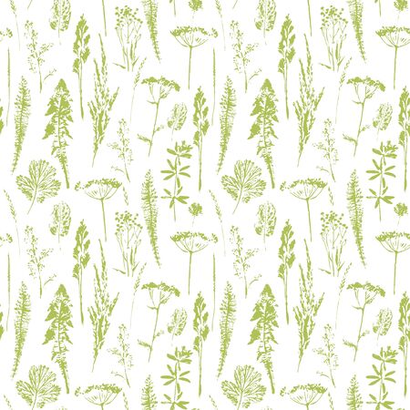 Abstract botanical seamless pattern. Vector herbal background.のイラスト素材