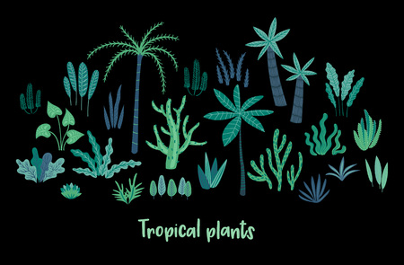 Vector set of abstract tropical plants. Design elementsのイラスト素材