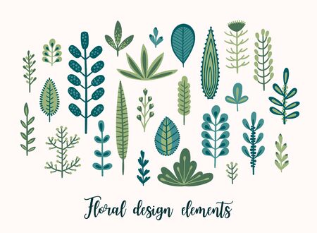 Vector floral set with cute herbs and leaves.のイラスト素材
