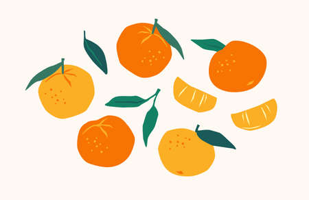 Set of drawn tangerines. Citrus fruits, oranges, mantarines. Vector illustration. Isolated elements.のイラスト素材