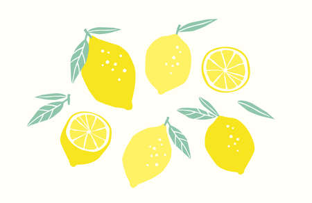 Set of drawn lemons. Citrus fruits, lemons, limes. Vector illustration. Isolated elementsのイラスト素材