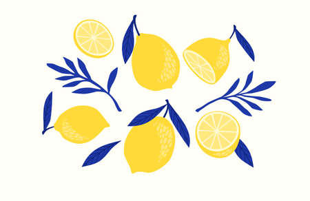 Set of drawn lemons. Citrus fruits, lemons, limes. Vector illustration. Isolated elementsのイラスト素材