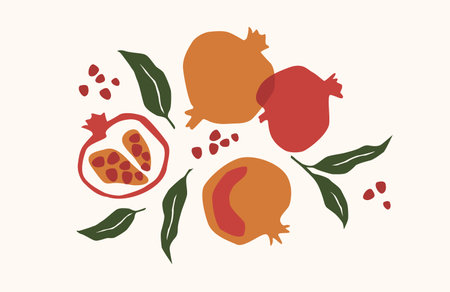 Set of drawn pomegranate, Vector illustration. Isolated elementsのイラスト素材