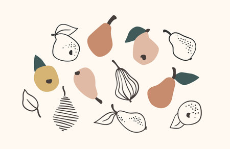 Set of drawn pears, Vector illustration. Isolated elements.のイラスト素材