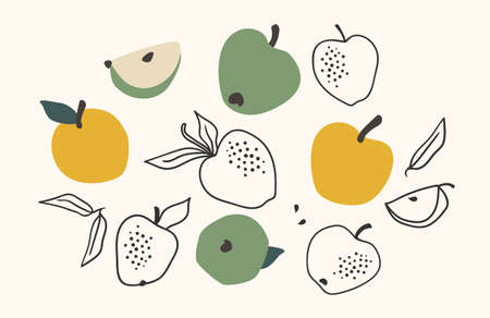 Set of drawn apples, Vector illustration. Isolated elementsのイラスト素材