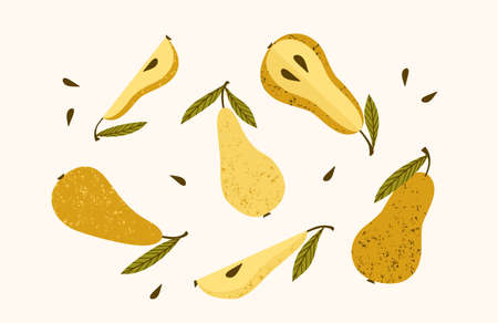 Set of drawn pears, Vector illustration. Isolated elements.のイラスト素材