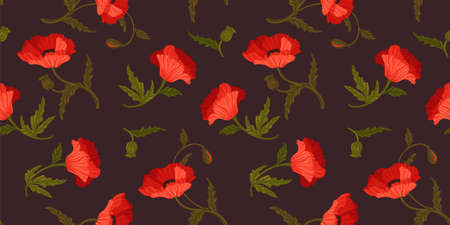 Floral seamless pattern with poppies. Vector designのイラスト素材