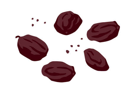 Set of drawn raisin, Vector illustration. Isolated elementsのイラスト素材