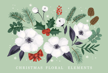 Set of Christmas floral design elements. Flowers, leaves, needles, berries. Vectorのイラスト素材