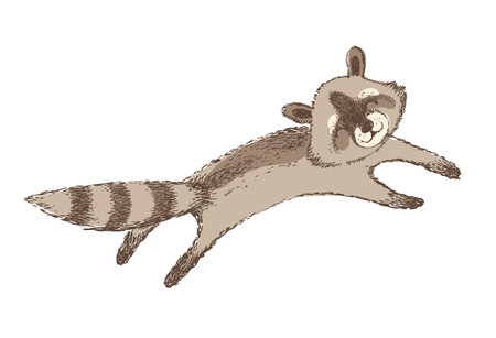 Vector illustration of cute raccoon. Isolated element.のイラスト素材