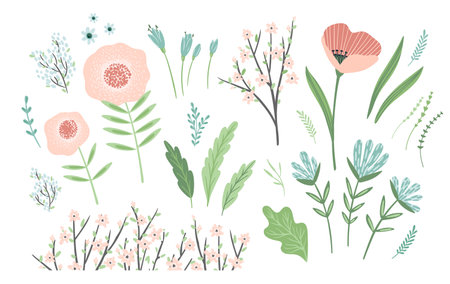 Set of spring floral design elements. Leaves, flowers, grass, branches Vectorのイラスト素材