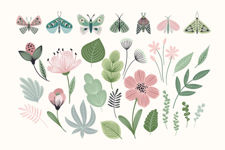 Set of abstract butterflies, moth, flowers and leaves. Clipart, isolated elements. Vectorのイラスト素材
