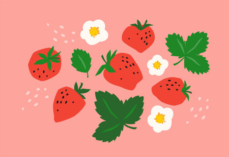 Set of drawn strawberry. Vector illustration. Isolated elementsのイラスト素材