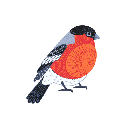 Decorative illustration of bullfinch. Vector isolated design elementのイラスト素材