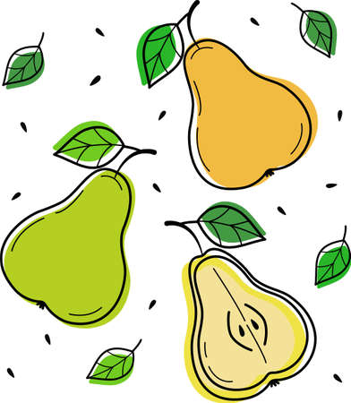 Vector illustration of pears on a white background. Isolated elements for design.Stock illustration about gardening, used for menus, advertisements and covers, children is books, food illustrationsのイラスト素材