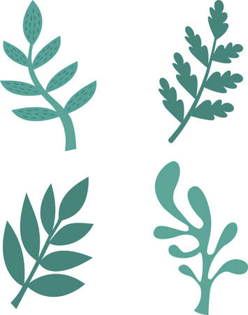 A set of stylized leaves highlighted on a white background. Vector leaves in cartoon style, for greetings, advertising, marketing, packaging, fabric, weddings, flower design, web design.のイラスト素材