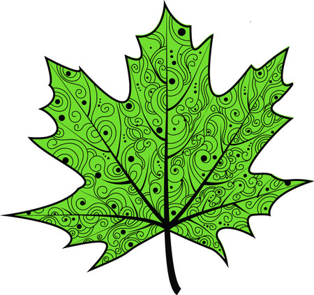 Vector illustration of a maple leaf. Autumn leaf with an ornament.An idea for a logo, fashion illustrations, magazines, printing on clothes, advertising, coloring books, tattoo sketch or mehendi.のイラスト素材