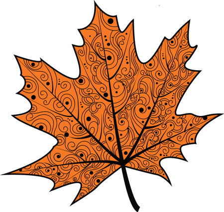 Vector illustration of a maple leaf. Autumn leaf with an ornament.An idea for a logo, fashion illustrations, magazines, printing on clothes, advertising, coloring books, tattoo sketch or mehendi. Vector illustrationのイラスト素材