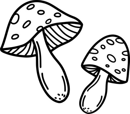 Fly agaric, non-edible poisonous forest mushrooms sketch vector illustration isolated. Vector illustrationのイラスト素材