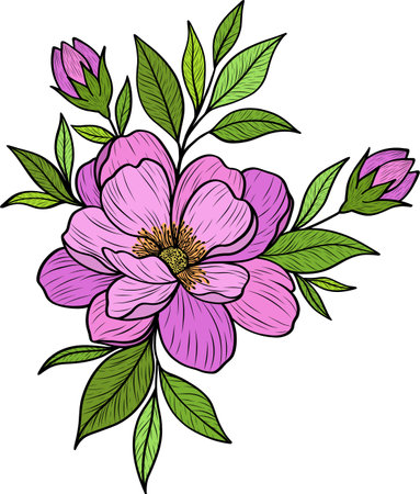 Vector illustration of a delicate peony flower. Pink hand-drawn peony on a transparent background. Pink flowers for creating postcards, floral patterns and ornaments. Vector illustrationのイラスト素材
