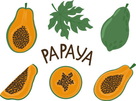 A set of papaya and sliced papaya pieces (whole, halves, slices) highlighted on a white background in a cartoon style.Vector illustration. Vector illustrationのイラスト素材