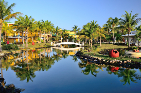 Bungalows  with palm trees, river and a bridge.の写真素材
