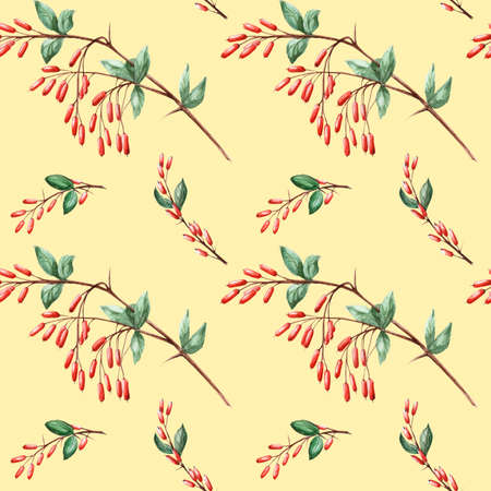 Seamless pattern with sprigs of watercolor barberryの写真素材