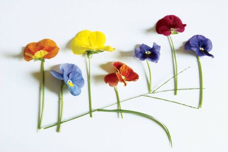 notesの写真素材