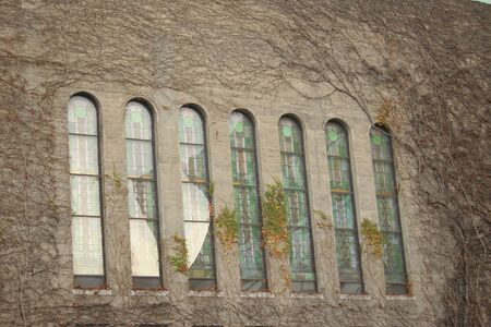 windowsの写真素材