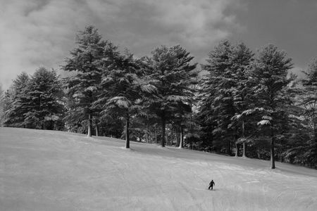 snowboardingの写真素材