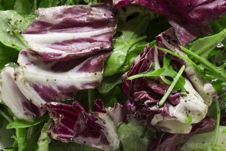 saladの写真素材