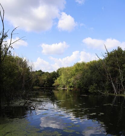 Reflection of blue sky with clouds in the river. Bityug River, Tambov Region, Russia.の写真素材