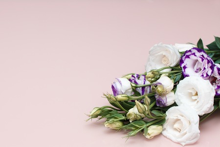 Fresh flowers frame on pink background. White and purple eustomas