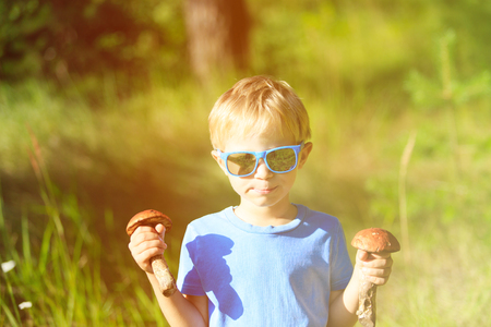 little boy pick mushrooms in green forest, kids outdoor activitiesの写真素材