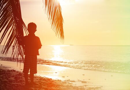 Silhouette of little boy on the beach with palm tree looking at seaの写真素材