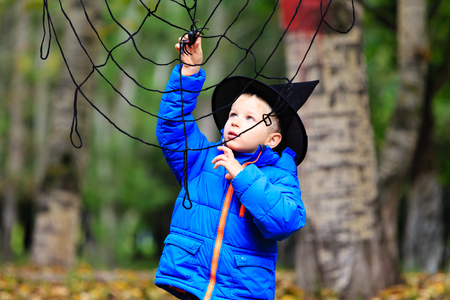 little boy in halloween costume playing with spider web at fall, halloween conceptの写真素材
