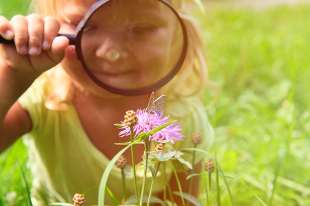Learning concept- little girl examining batterfies on flower using magnifying glassの写真素材