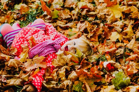 cute little girl playing with autumn fall leavesの写真素材
